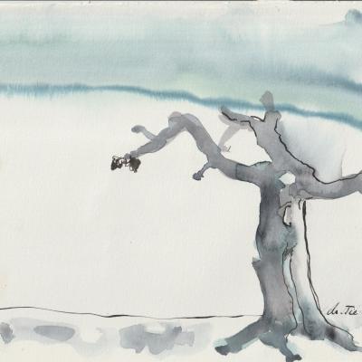 005 Einsamer Alter Baum